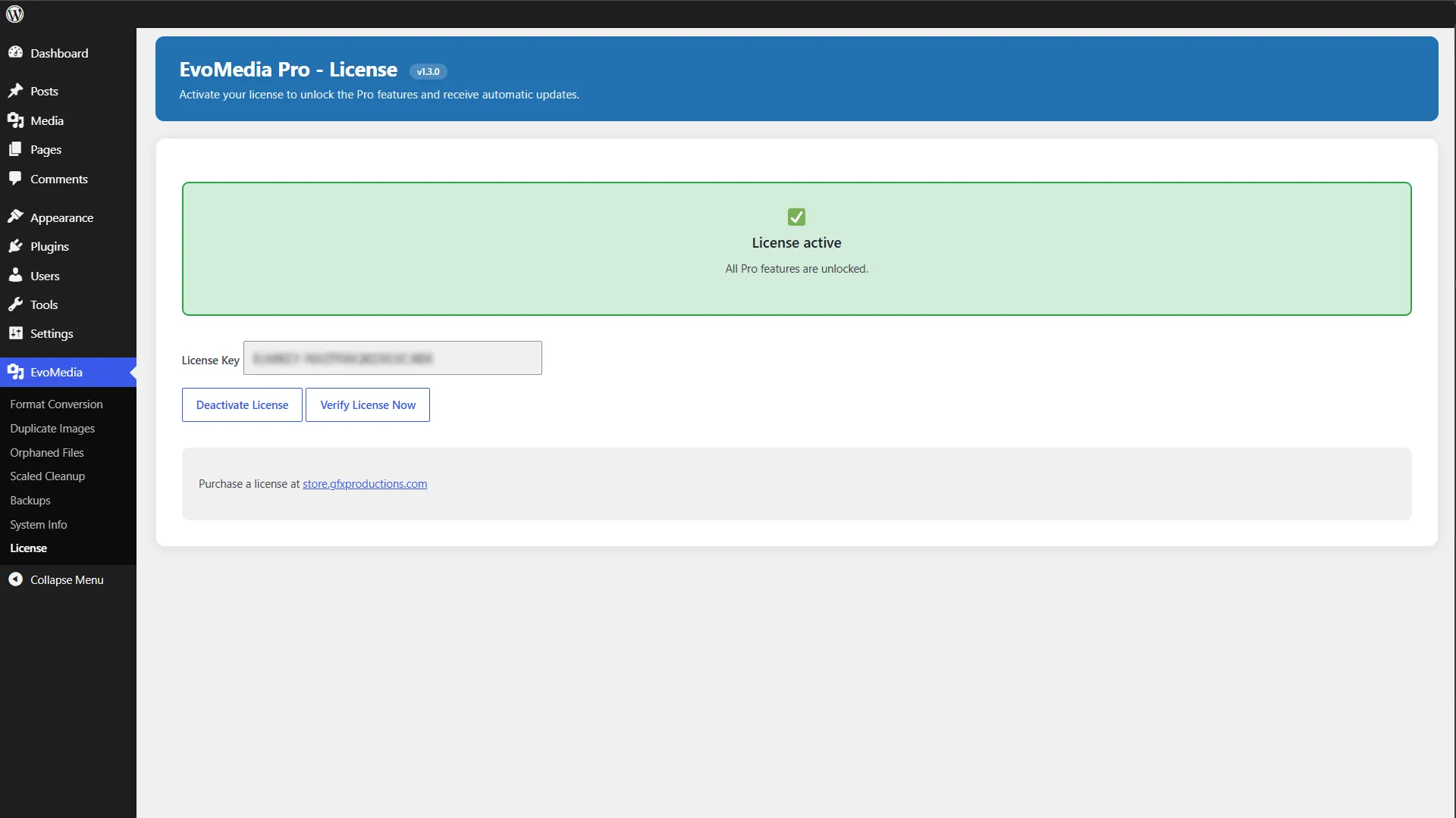 12-evomedia-pro-130-license-activation Activating the EvoMedia Pro license key in WordPress